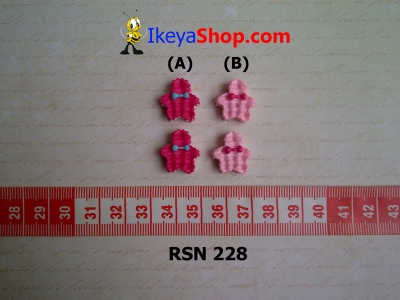 rsn 228  large2
